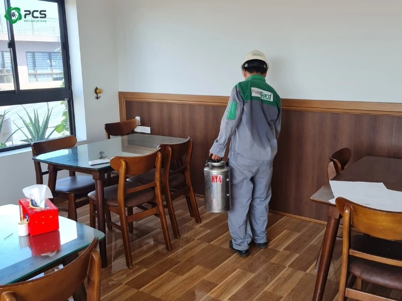 Cách trị gián trong nhà 